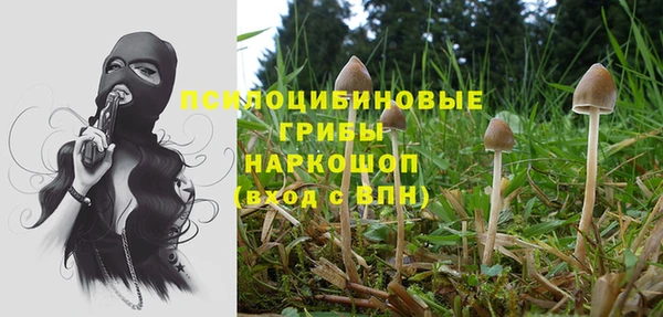 каннабис Абинск