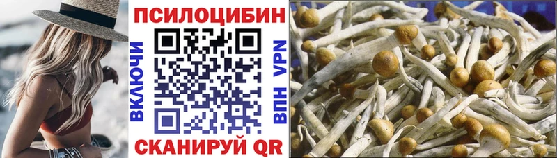 блэк спрут ONION  Комсомольск-на-Амуре  Галлюциногенные грибы Magic Shrooms 